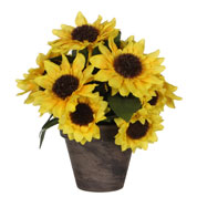 Artificial Plant - Sunflowers - MICA